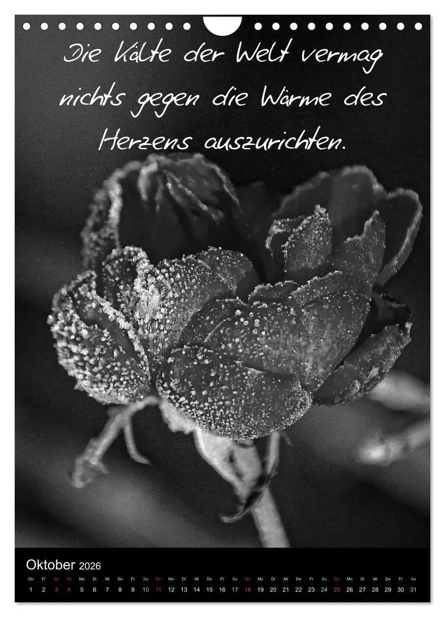Bild: 9783516463125 | Kluge Sprüche in Schwarz-Weiß (Wandkalender 2026 DIN A4 hoch),...