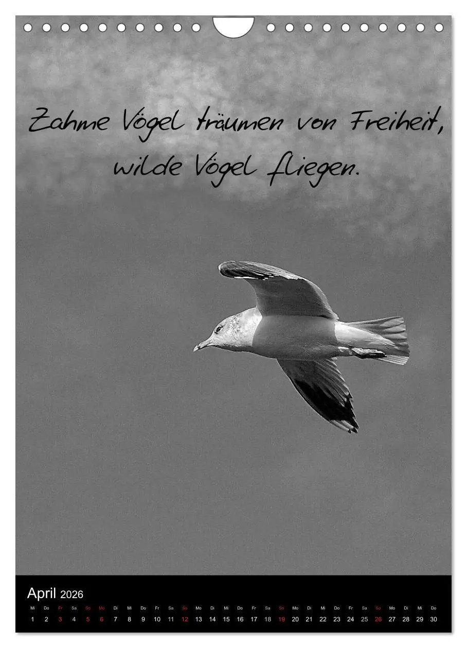 Bild: 9783516463125 | Kluge Sprüche in Schwarz-Weiß (Wandkalender 2026 DIN A4 hoch),...