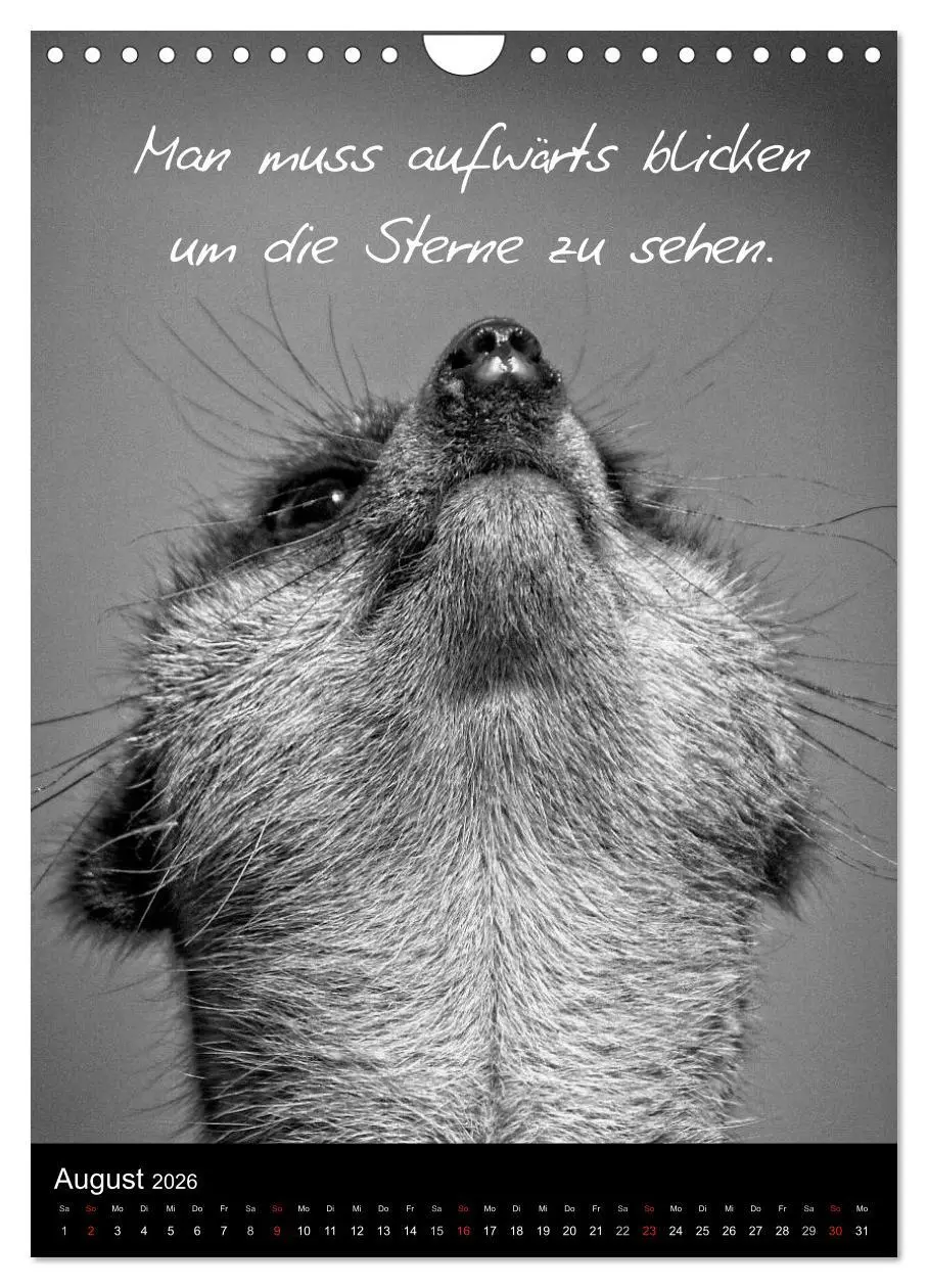 Bild: 9783516463125 | Kluge Sprüche in Schwarz-Weiß (Wandkalender 2026 DIN A4 hoch),...