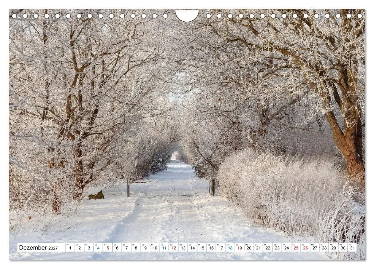 Bild: 9783516773125 | Lüneburger Heide - Im Wandel der Jahreszeiten (Wandkalender 2027...
