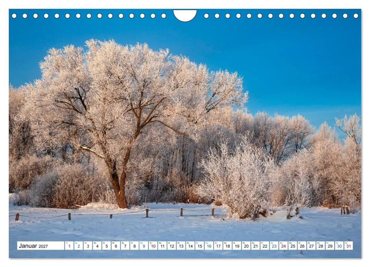 Bild: 9783516773125 | Lüneburger Heide - Im Wandel der Jahreszeiten (Wandkalender 2027...