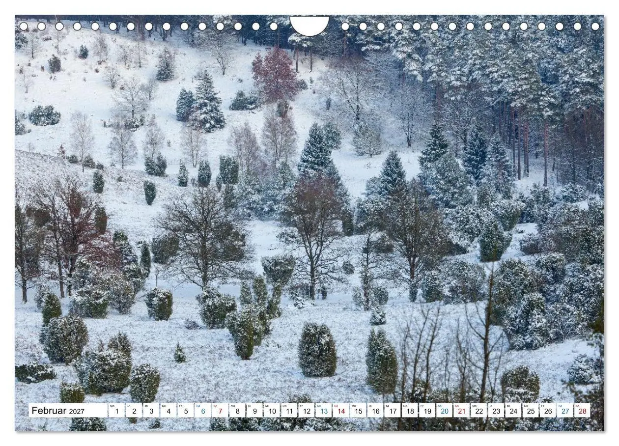 Bild: 9783516773125 | Lüneburger Heide - Im Wandel der Jahreszeiten (Wandkalender 2027...