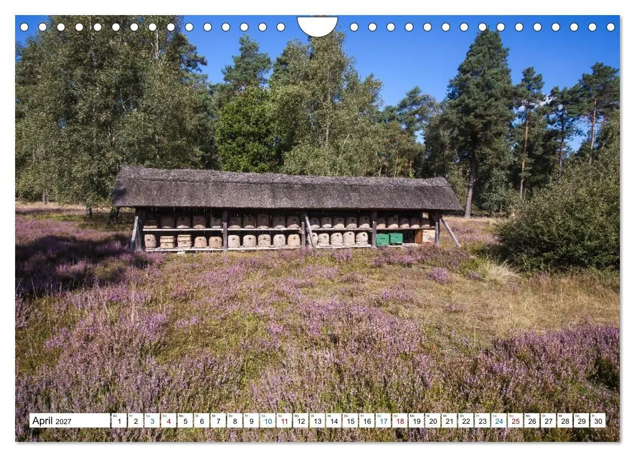 Bild: 9783516773125 | Lüneburger Heide - Im Wandel der Jahreszeiten (Wandkalender 2027...