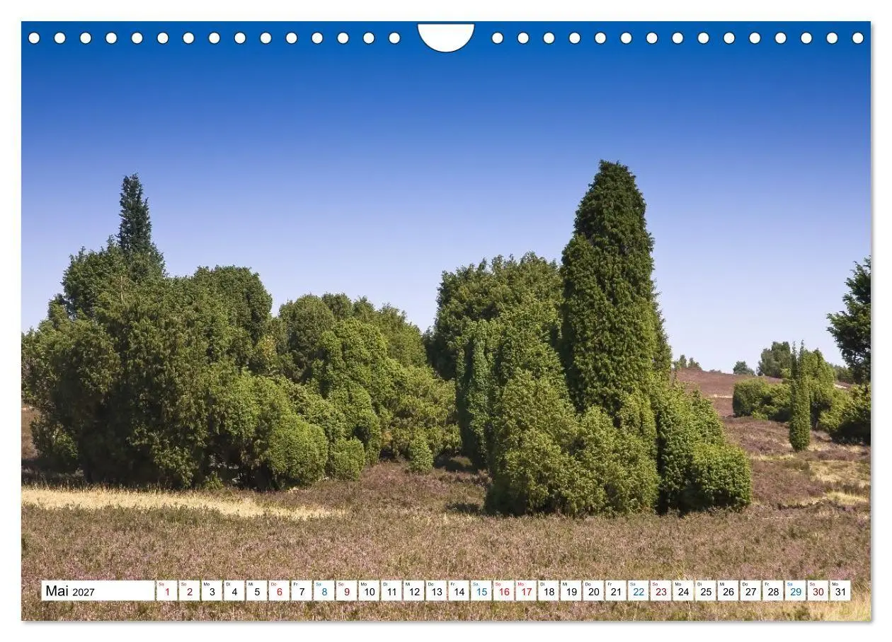 Bild: 9783516773125 | Lüneburger Heide - Im Wandel der Jahreszeiten (Wandkalender 2027...