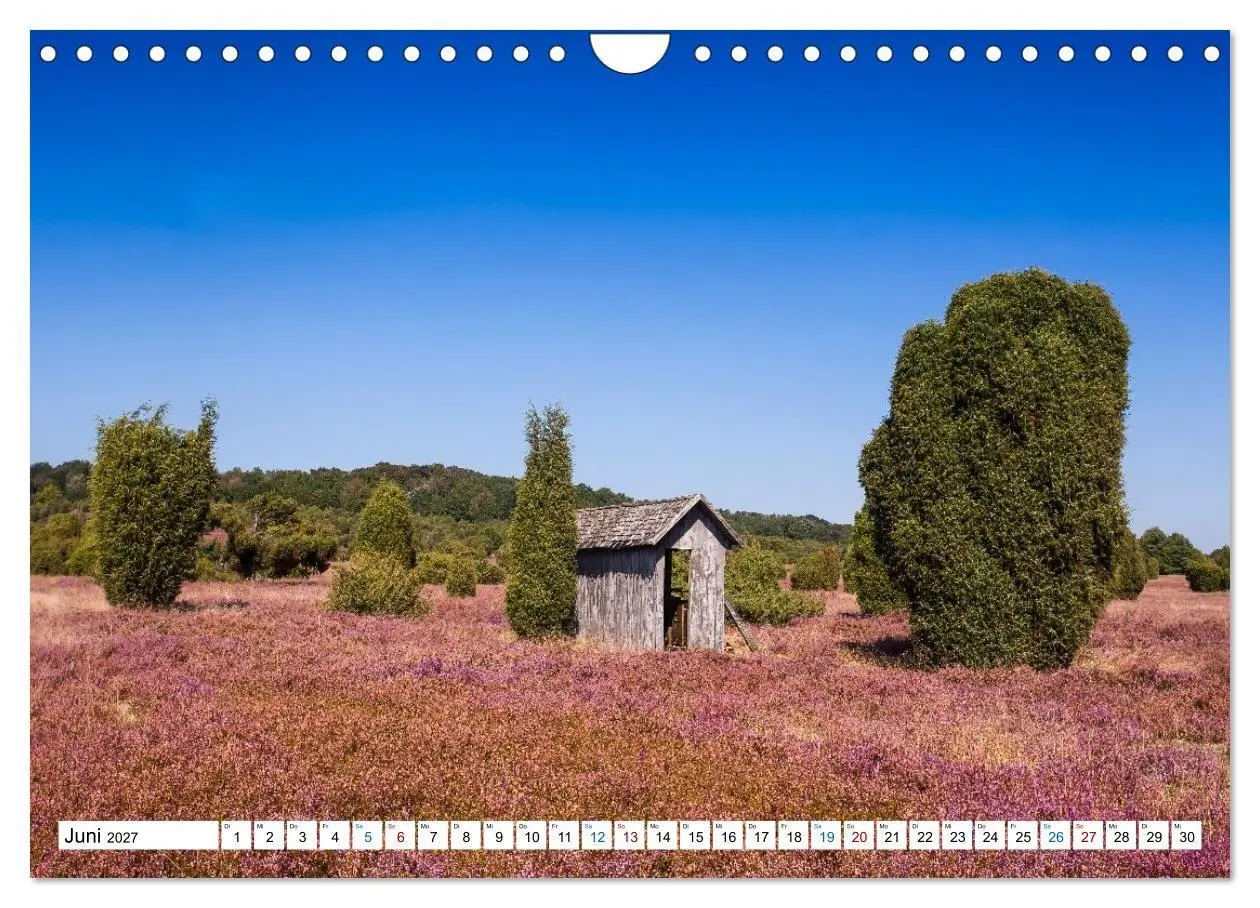Bild: 9783516773125 | Lüneburger Heide - Im Wandel der Jahreszeiten (Wandkalender 2027...