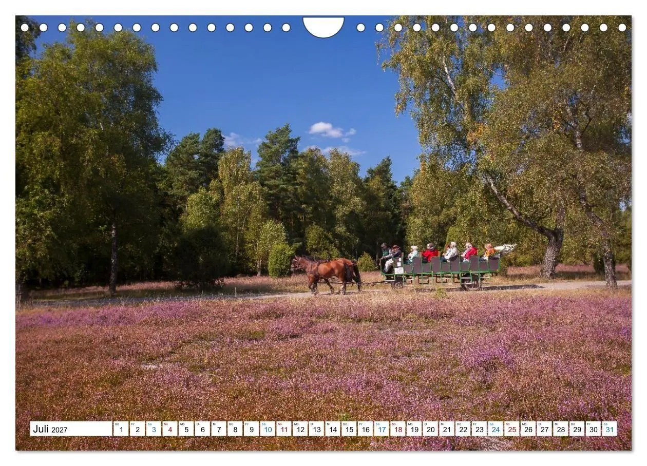 Bild: 9783516773125 | Lüneburger Heide - Im Wandel der Jahreszeiten (Wandkalender 2027...