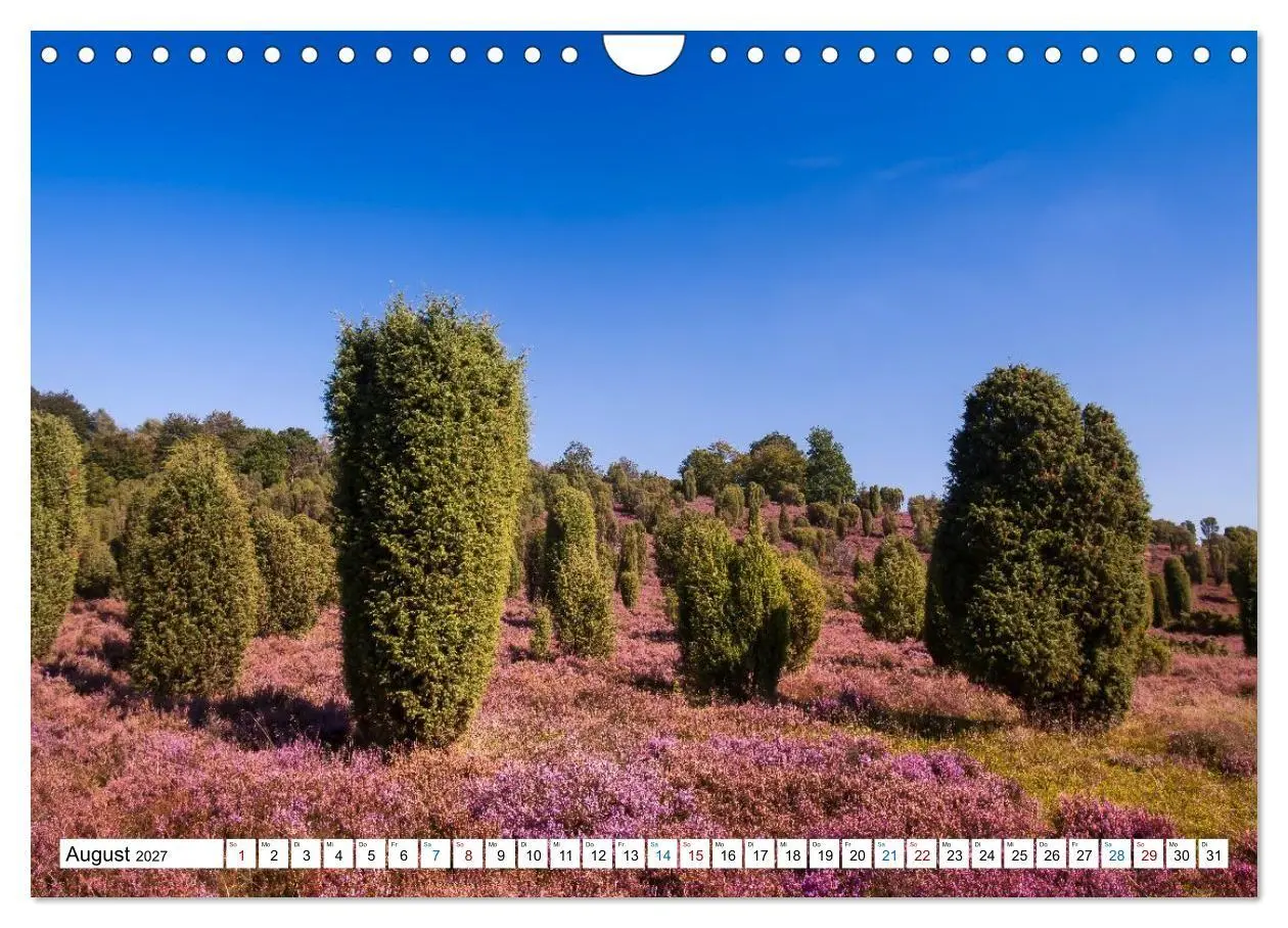 Bild: 9783516773125 | Lüneburger Heide - Im Wandel der Jahreszeiten (Wandkalender 2027...
