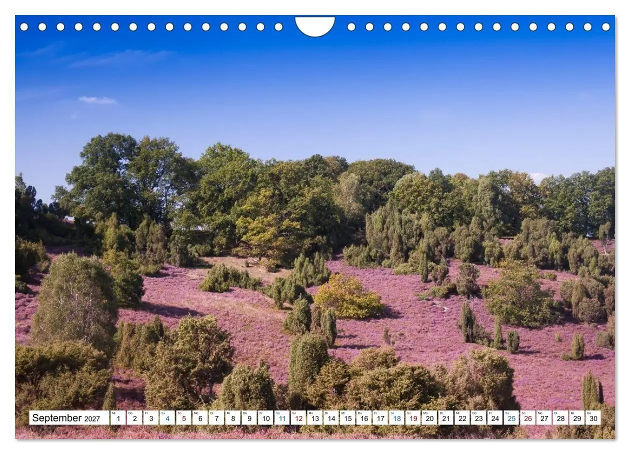 Bild: 9783516773125 | Lüneburger Heide - Im Wandel der Jahreszeiten (Wandkalender 2027...