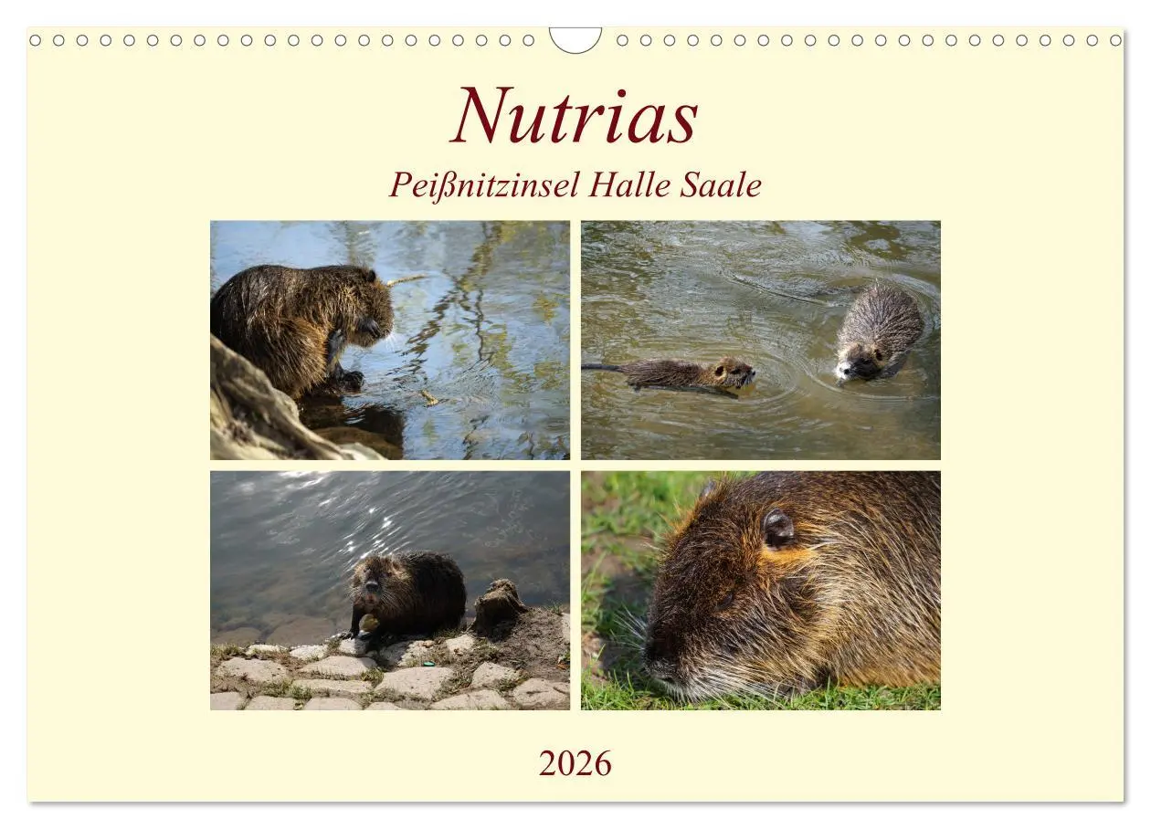 Cover: 9783457813225 | Nutrias Peißnitzinsel Halle Saale (Wandkalender 2026 DIN A3 quer),...