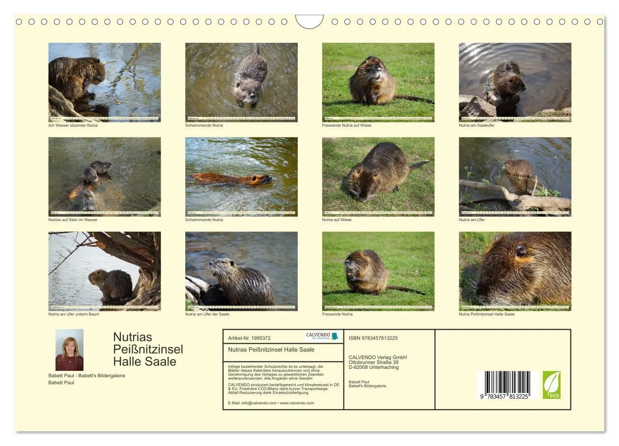 Bild: 9783457813225 | Nutrias Peißnitzinsel Halle Saale (Wandkalender 2026 DIN A3 quer),...