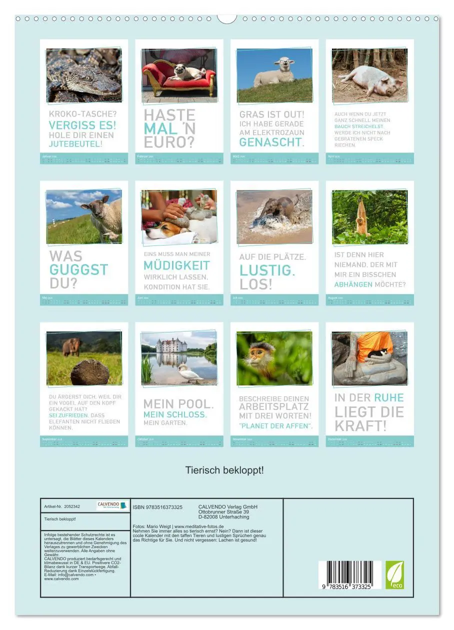 Bild: 9783516373325 | Tierisch bekloppt! (hochwertiger Premium Wandkalender 2026 DIN A2...