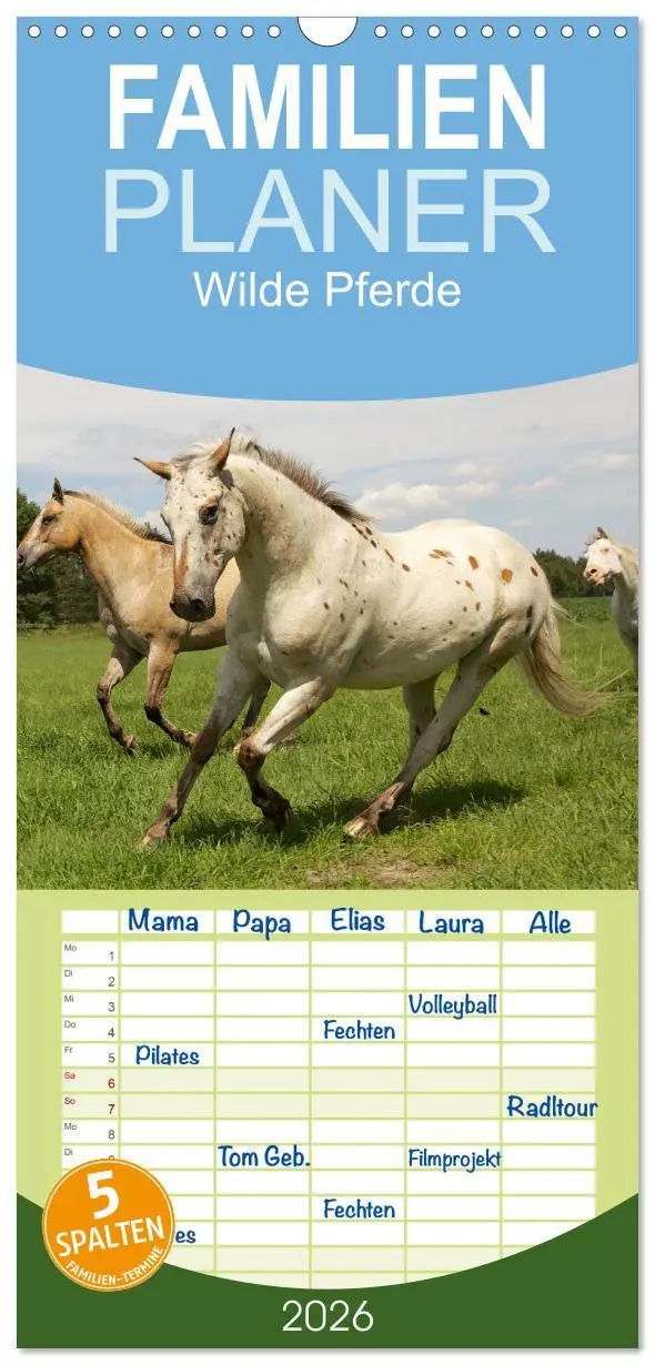 Cover: 9783516513325 | Familienplaner 2026 - Wilde Pferde mit 5 Spalten (Wandkalender, 21...