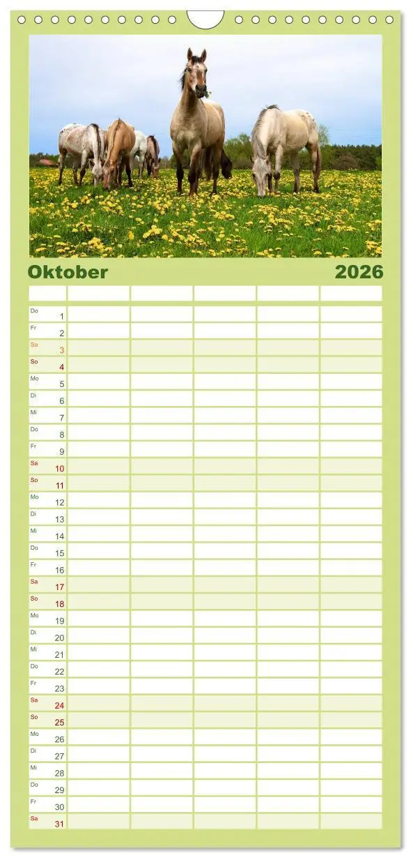 Bild: 9783516513325 | Familienplaner 2026 - Wilde Pferde mit 5 Spalten (Wandkalender, 21...