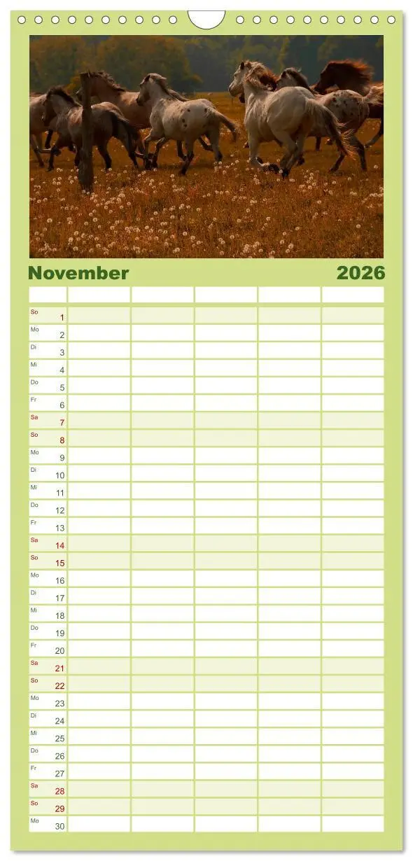 Bild: 9783516513325 | Familienplaner 2026 - Wilde Pferde mit 5 Spalten (Wandkalender, 21...