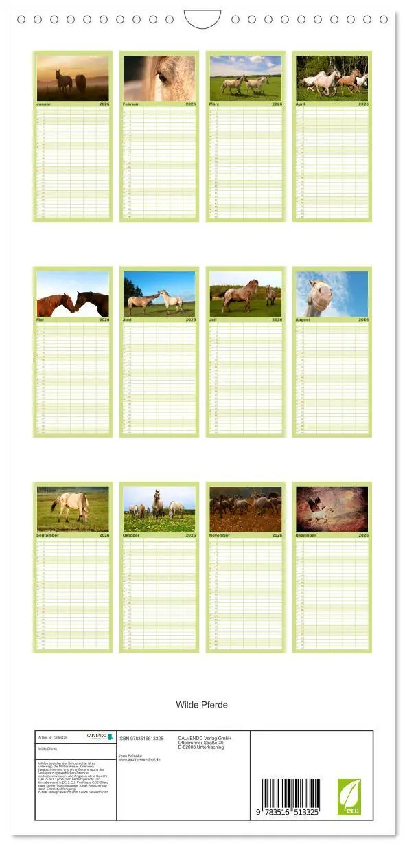 Bild: 9783516513325 | Familienplaner 2026 - Wilde Pferde mit 5 Spalten (Wandkalender, 21...