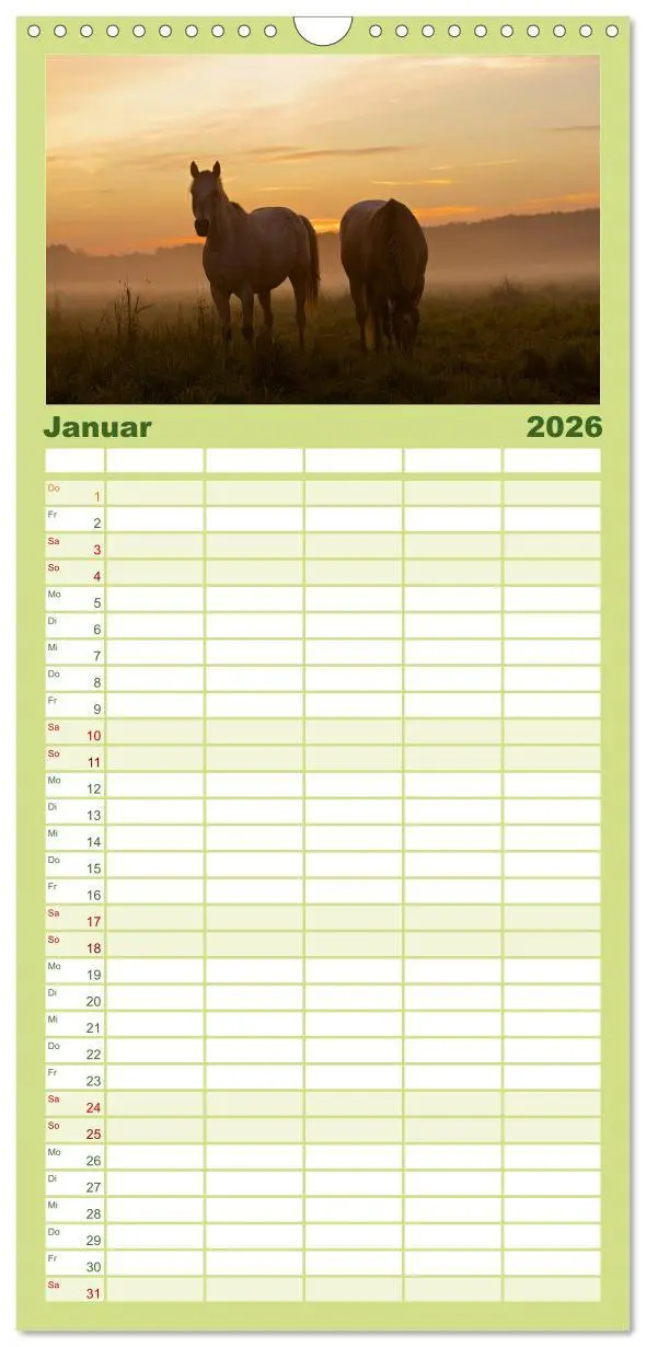 Bild: 9783516513325 | Familienplaner 2026 - Wilde Pferde mit 5 Spalten (Wandkalender, 21...