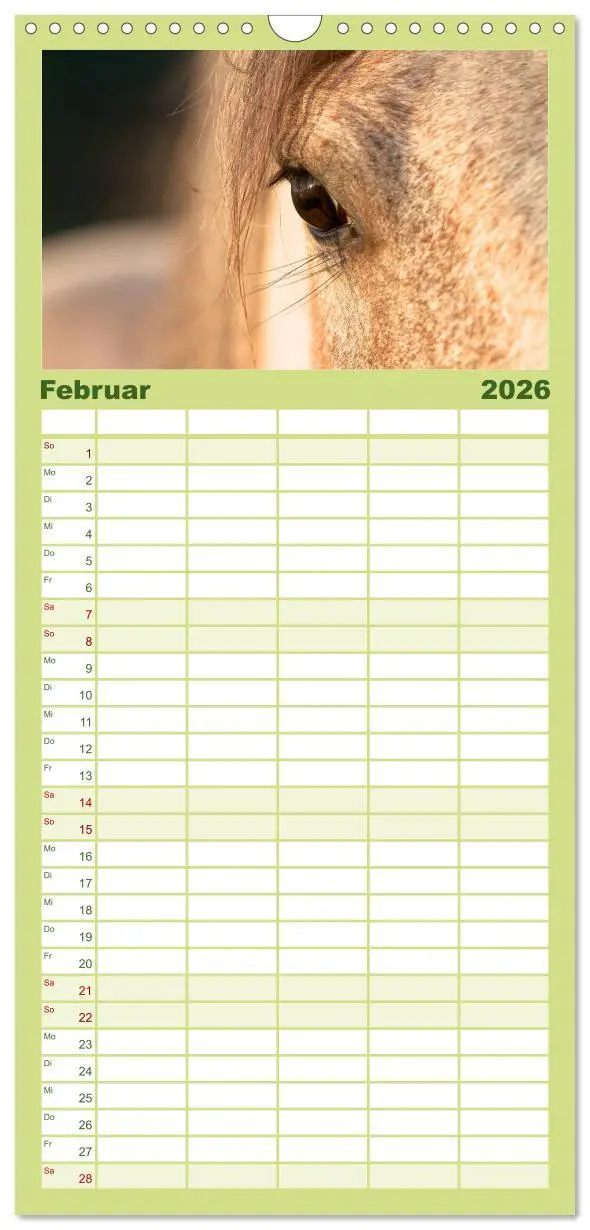 Bild: 9783516513325 | Familienplaner 2026 - Wilde Pferde mit 5 Spalten (Wandkalender, 21...