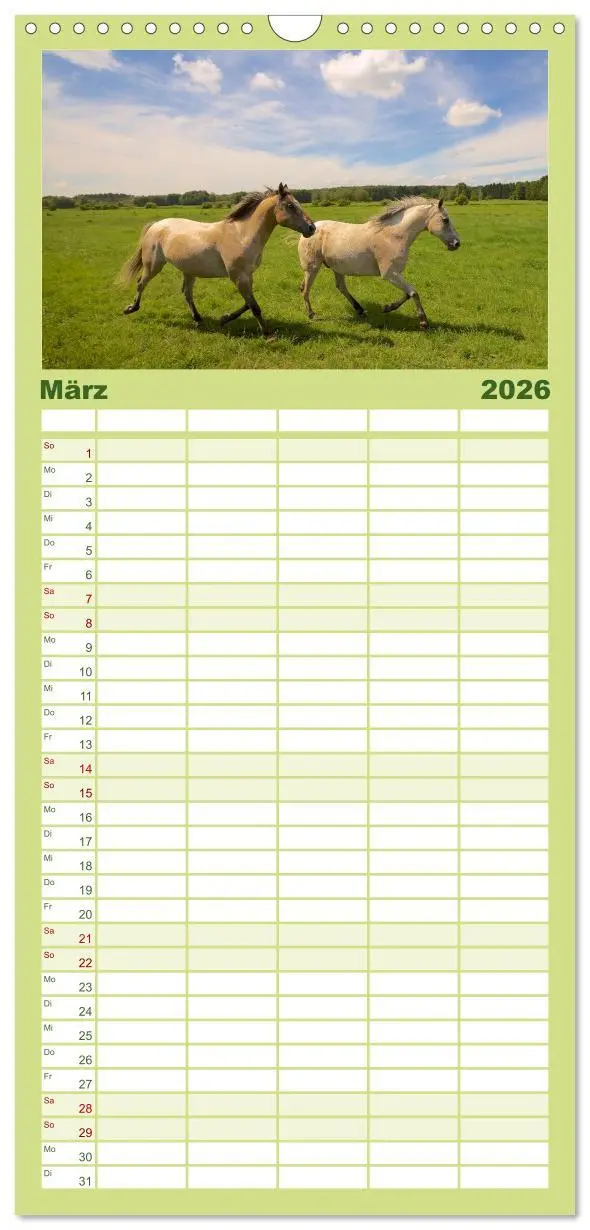 Bild: 9783516513325 | Familienplaner 2026 - Wilde Pferde mit 5 Spalten (Wandkalender, 21...