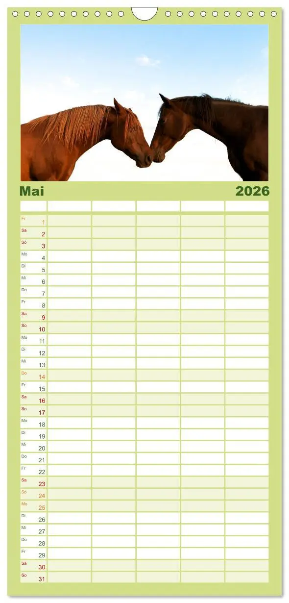 Bild: 9783516513325 | Familienplaner 2026 - Wilde Pferde mit 5 Spalten (Wandkalender, 21...