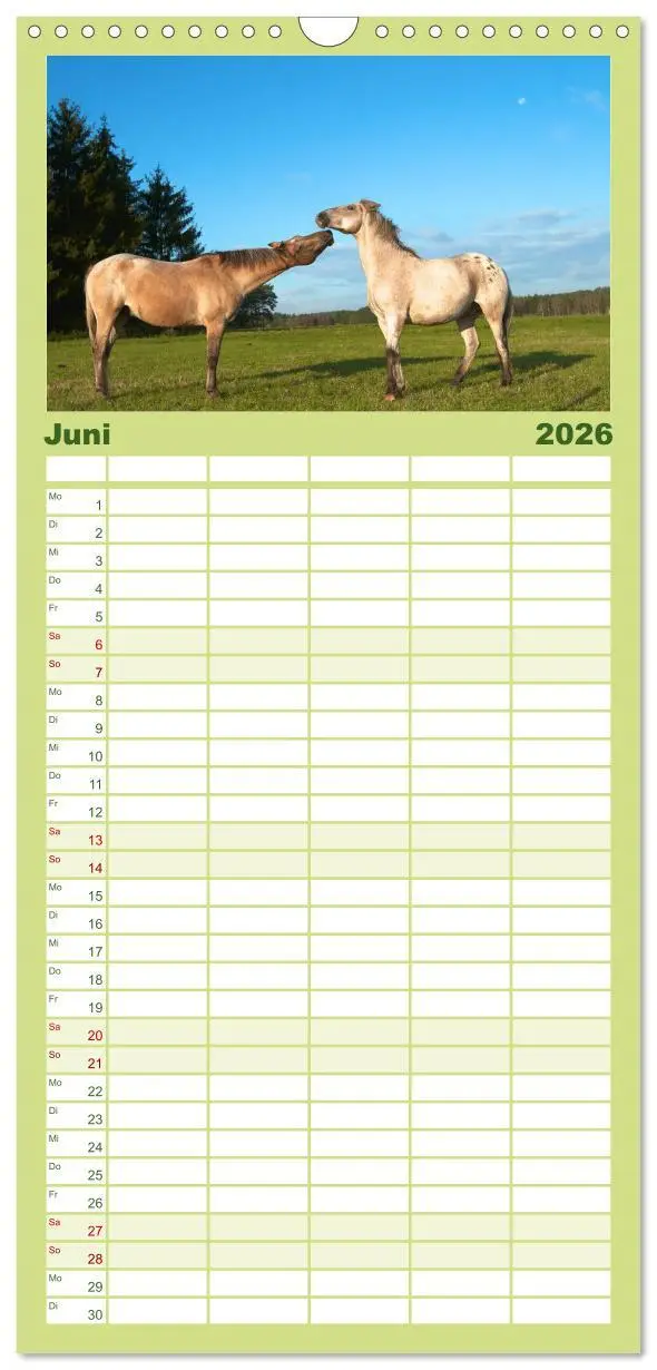 Bild: 9783516513325 | Familienplaner 2026 - Wilde Pferde mit 5 Spalten (Wandkalender, 21...