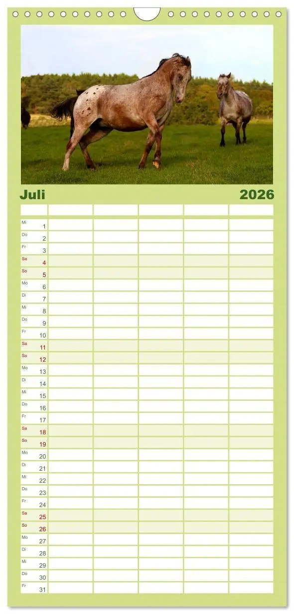 Bild: 9783516513325 | Familienplaner 2026 - Wilde Pferde mit 5 Spalten (Wandkalender, 21...