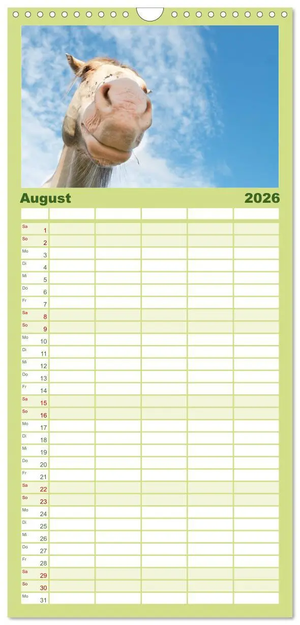 Bild: 9783516513325 | Familienplaner 2026 - Wilde Pferde mit 5 Spalten (Wandkalender, 21...