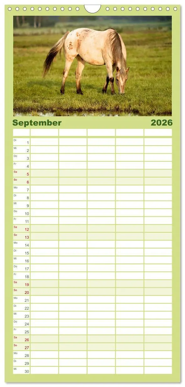 Bild: 9783516513325 | Familienplaner 2026 - Wilde Pferde mit 5 Spalten (Wandkalender, 21...