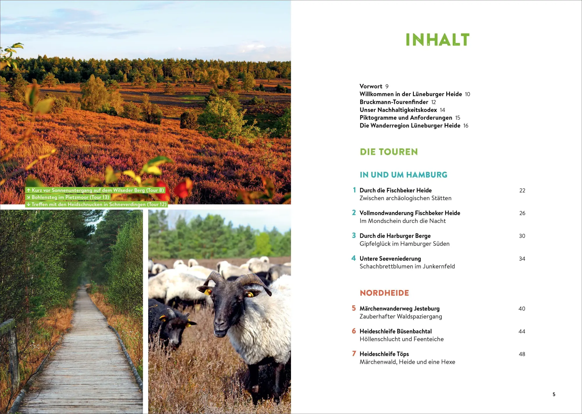 Bild: 9783734313325 | Mystische Pfade Lüneburger Heide | Anika Batschi | Taschenbuch | 2026