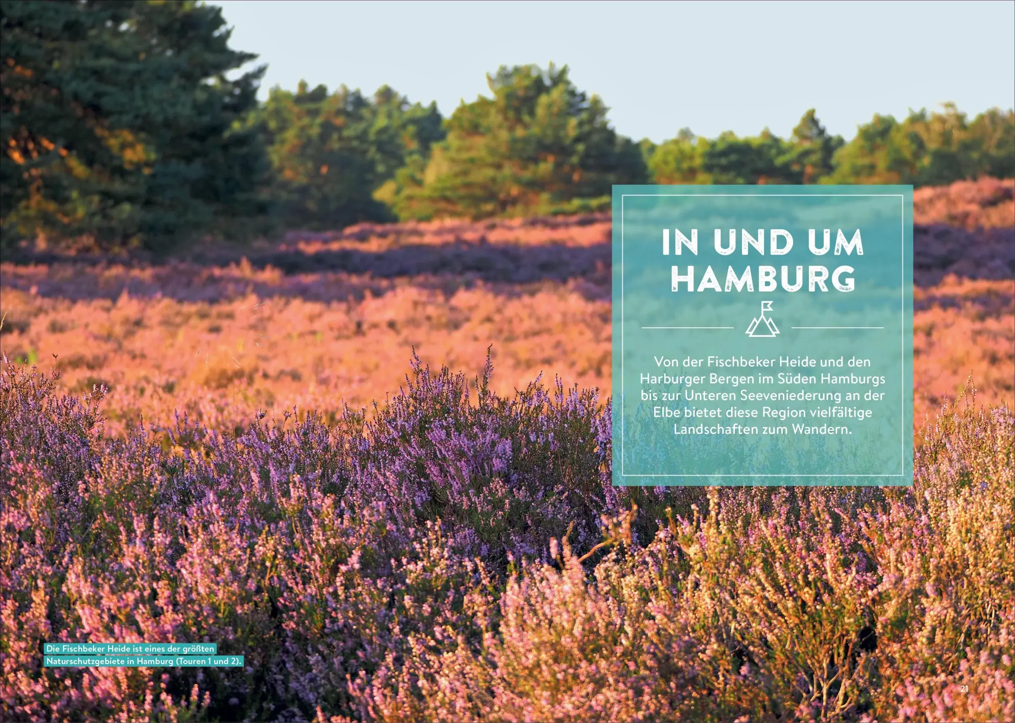 Bild: 9783734313325 | Mystische Pfade Lüneburger Heide | Anika Batschi | Taschenbuch | 2026