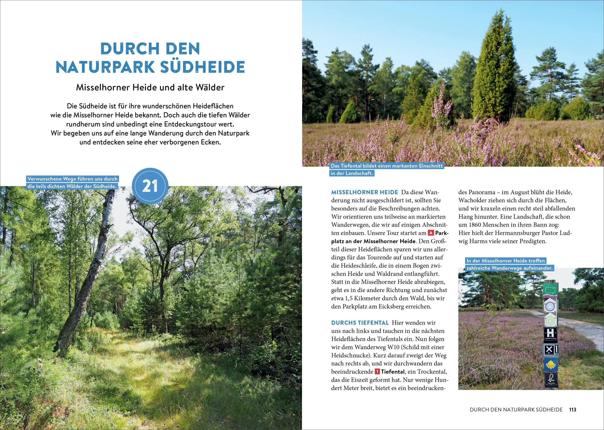 Bild: 9783734313325 | Mystische Pfade Lüneburger Heide | Anika Batschi | Taschenbuch | 2026