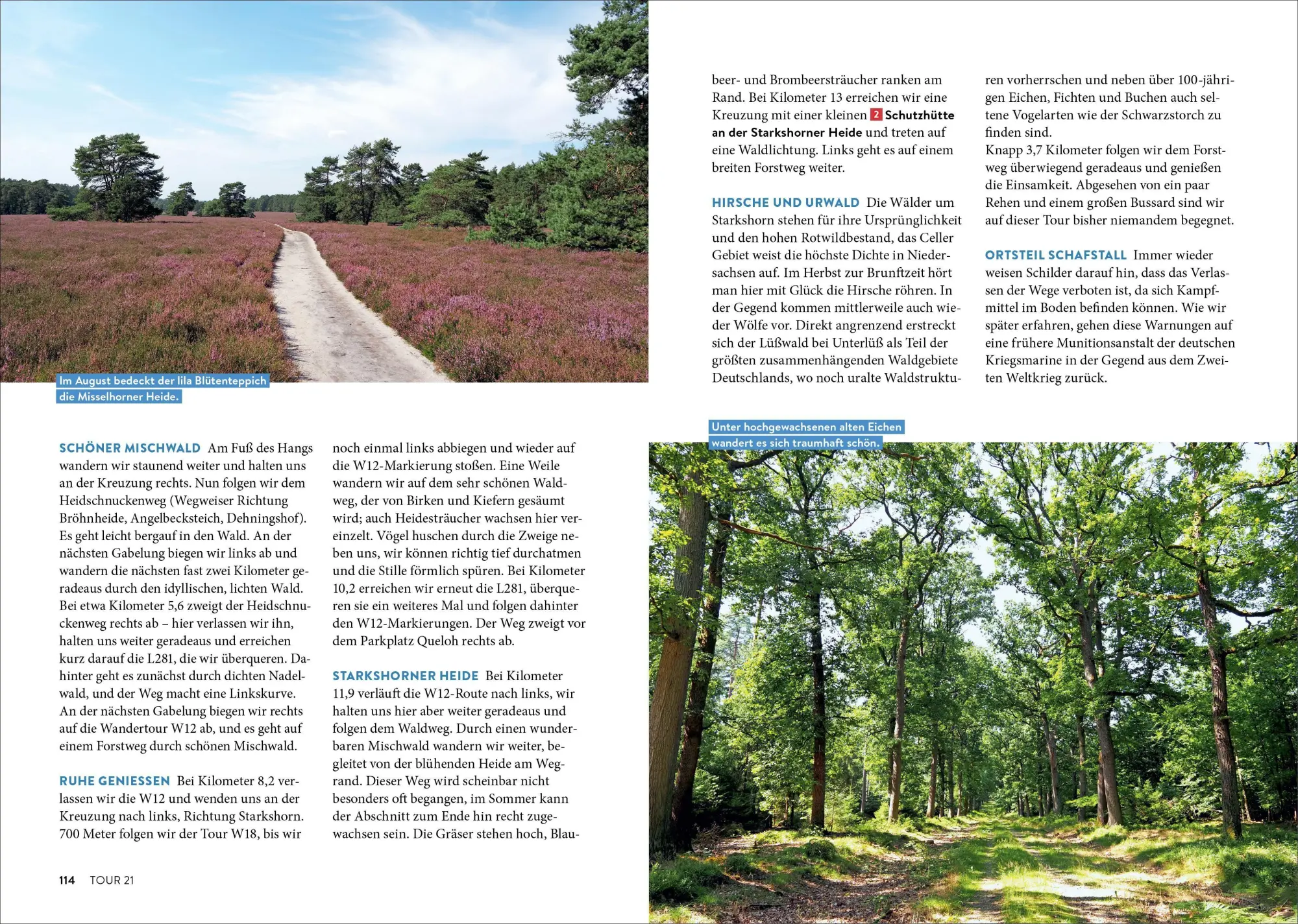 Bild: 9783734313325 | Mystische Pfade Lüneburger Heide | Anika Batschi | Taschenbuch | 2026