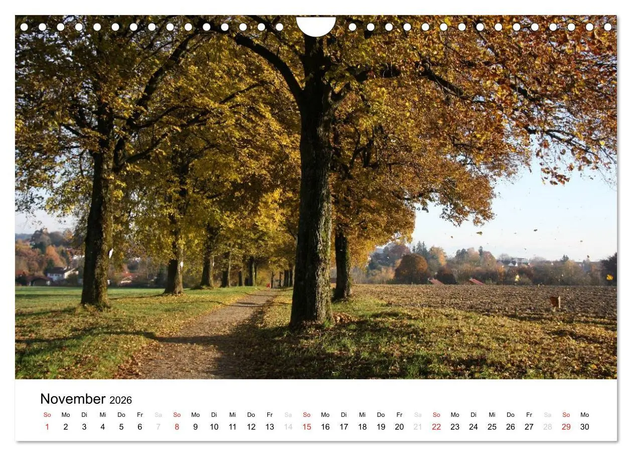 Bild: 9783516053425 | Der Ebersberger Forst und seine Umgebung (Wandkalender 2026 DIN A4...
