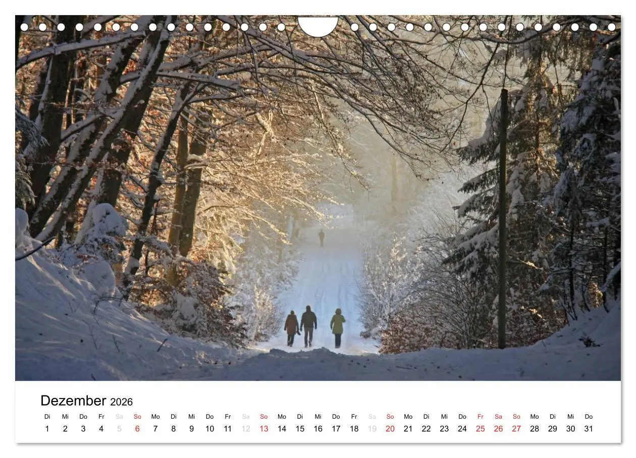 Bild: 9783516053425 | Der Ebersberger Forst und seine Umgebung (Wandkalender 2026 DIN A4...
