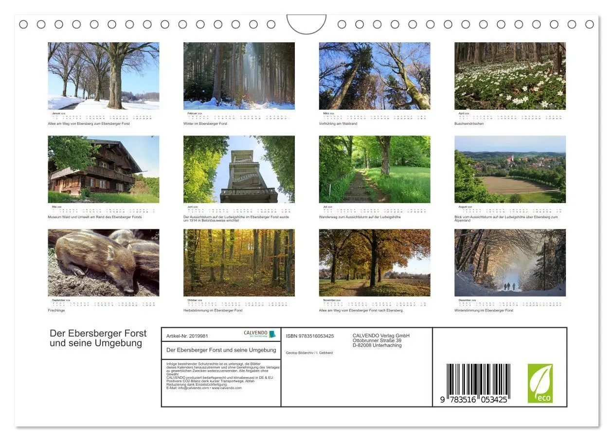 Bild: 9783516053425 | Der Ebersberger Forst und seine Umgebung (Wandkalender 2026 DIN A4...