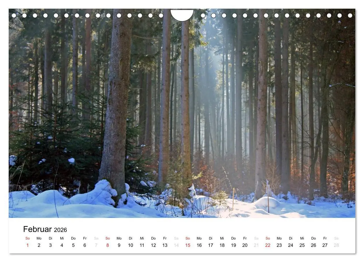 Bild: 9783516053425 | Der Ebersberger Forst und seine Umgebung (Wandkalender 2026 DIN A4...