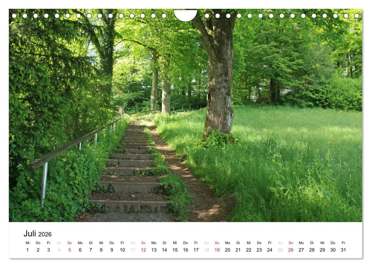 Bild: 9783516053425 | Der Ebersberger Forst und seine Umgebung (Wandkalender 2026 DIN A4...