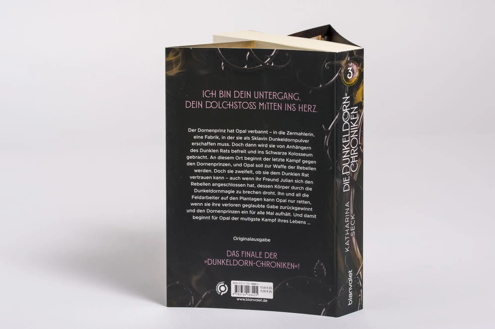 Bild: 9783734163425 | Die Dunkeldorn-Chroniken - Knospen aus Finsternis | Roman | Seck