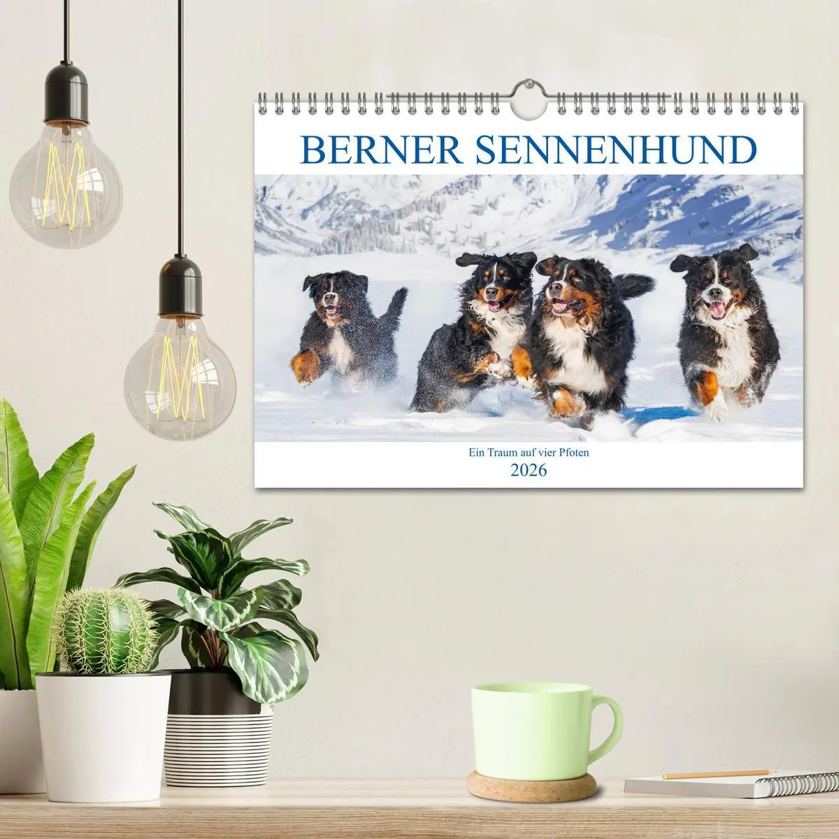 Bild: 9783457633625 | Berner Sennenhund - Ein Traum auf vier Pfoten (Wandkalender 2026...