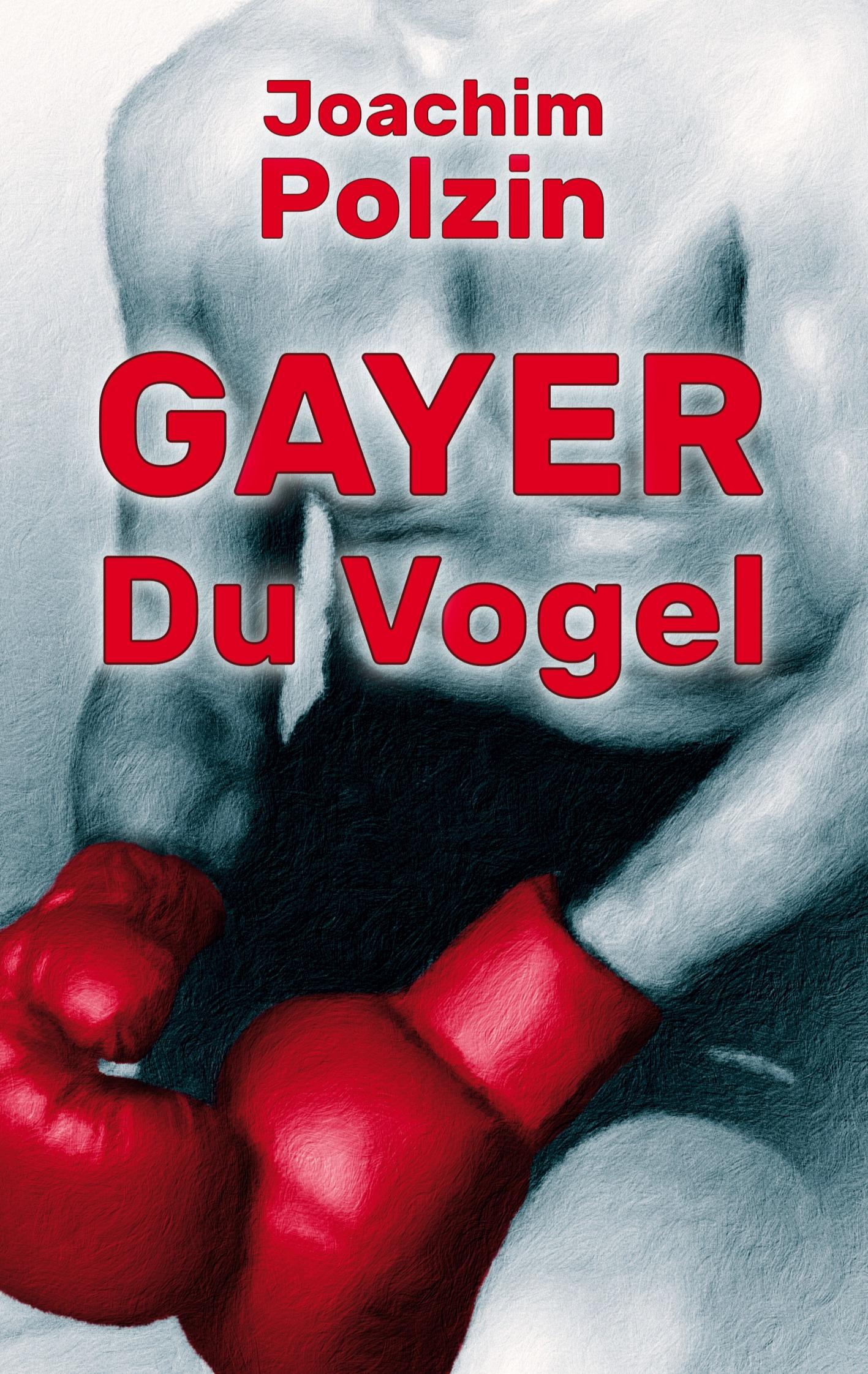 Cover: 9783756853625 | Gayer du Vogel | Die Abrechnung kommt | Joachim Polzin | Taschenbuch