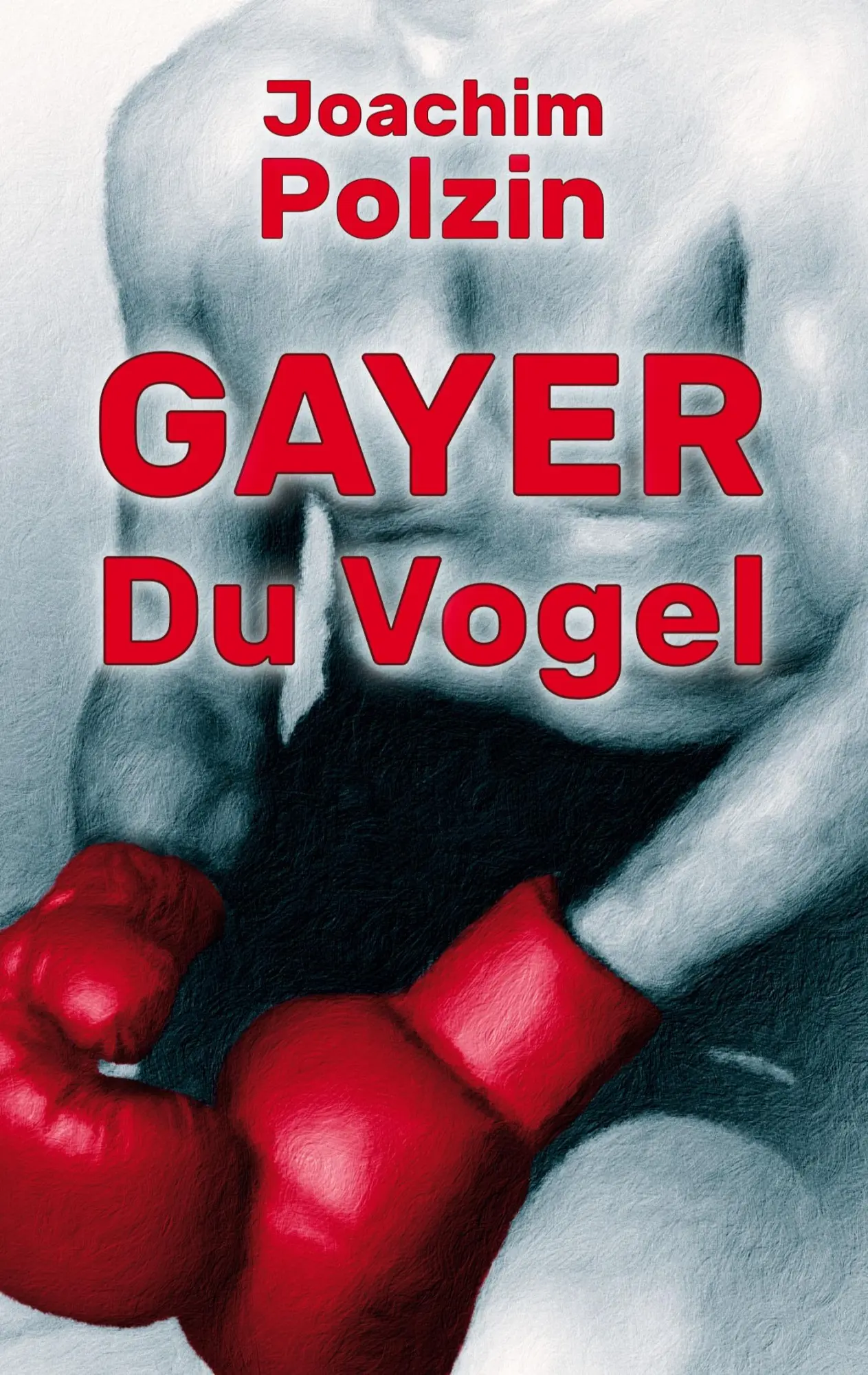 Cover: 9783756853625 | Gayer du Vogel | Die Abrechnung kommt | Joachim Polzin | Taschenbuch