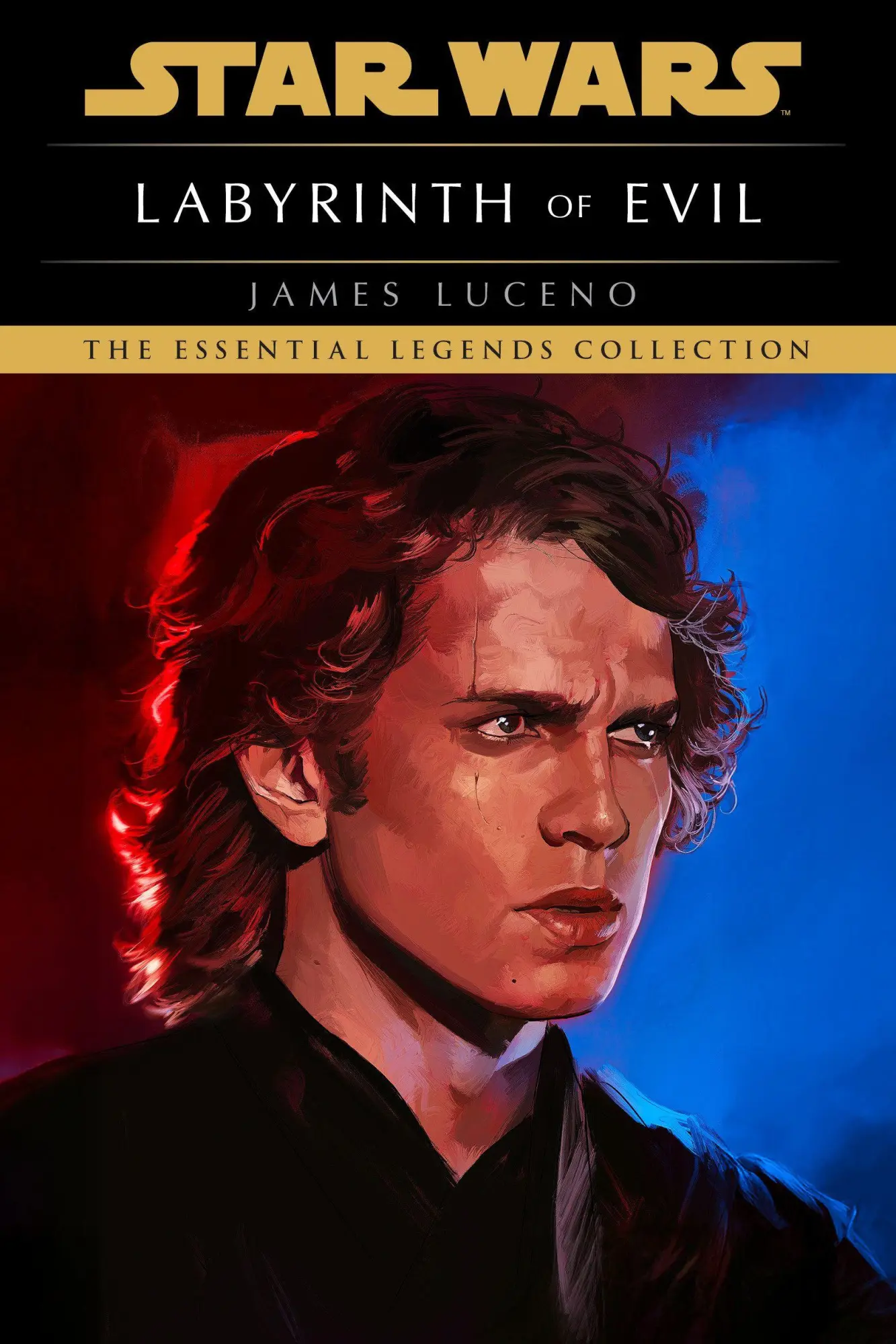 Cover: 9798217093625 | Labyrinth of Evil: Star Wars Legends | James Luceno | Taschenbuch