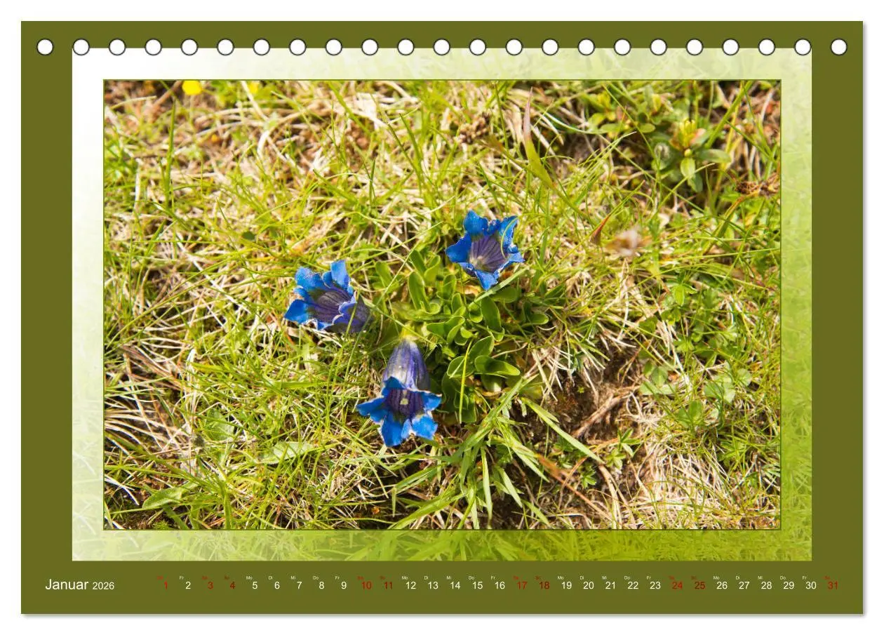 Bild: 9783457863725 | Das vergessene Tal. Schnalstal - Val Senales (Tischkalender 2026...
