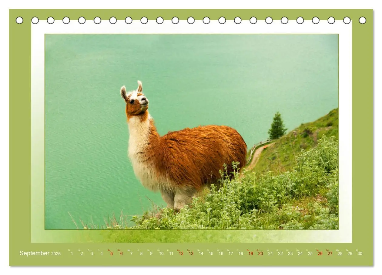 Bild: 9783457863725 | Das vergessene Tal. Schnalstal - Val Senales (Tischkalender 2026...
