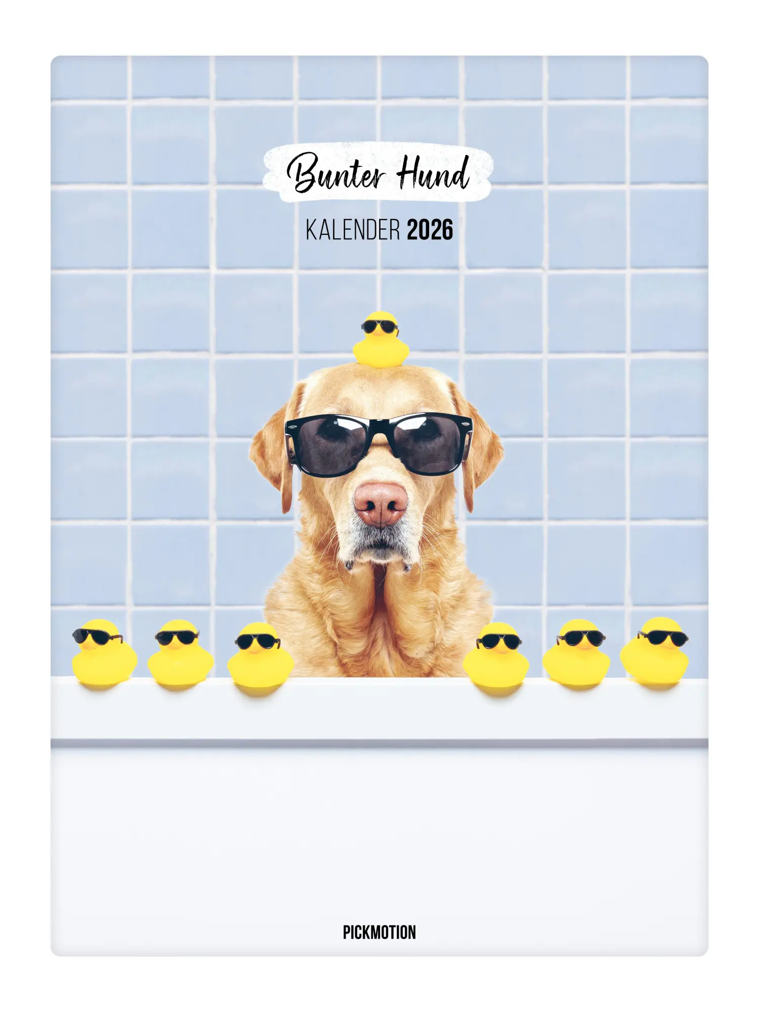 Cover: 4251781193825 | Wandkalender 2026 - Bunter Hund | Pickmotion | Kalender | Deutsch