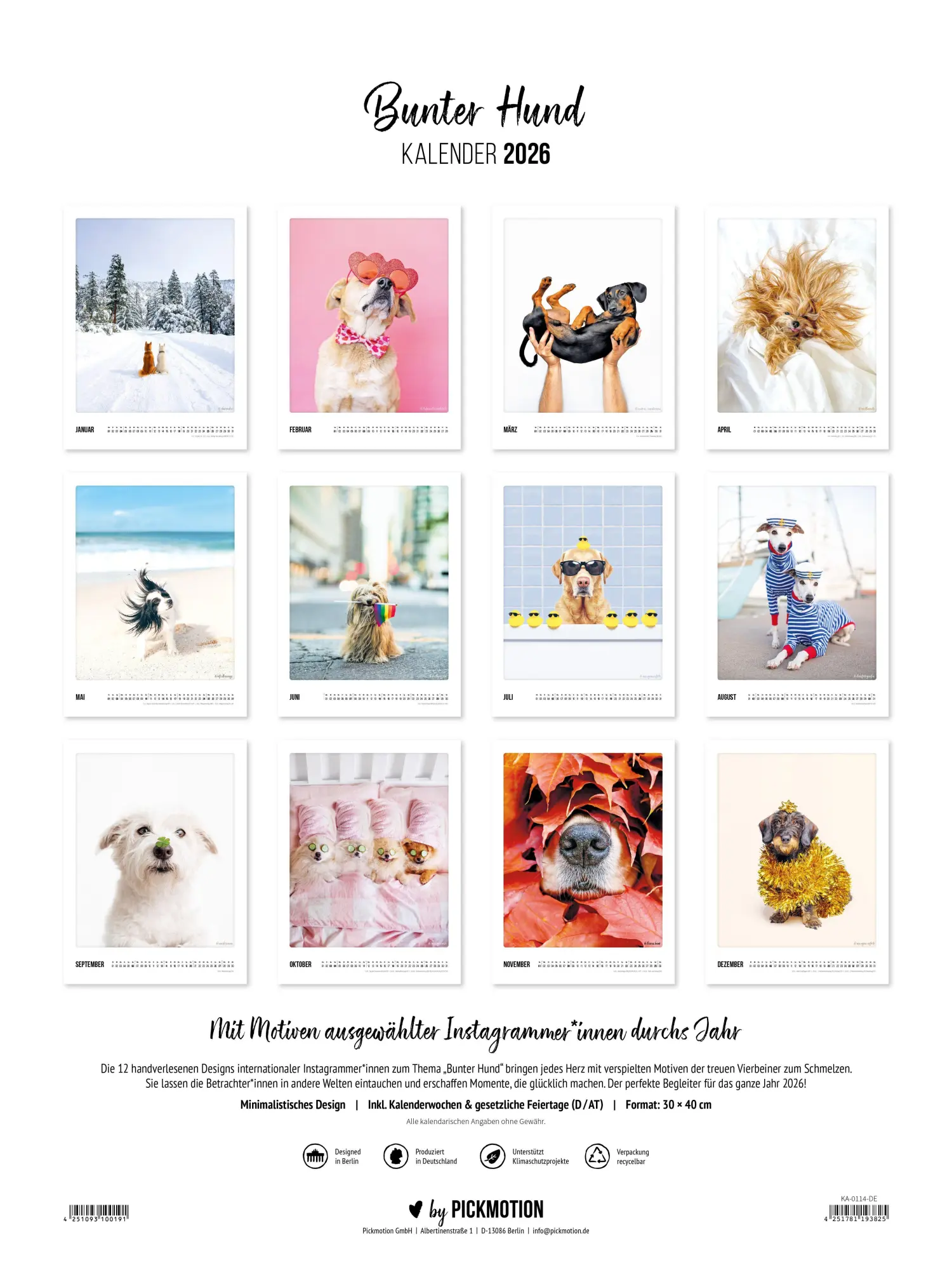 Bild: 4251781193825 | Wandkalender 2026 - Bunter Hund | Pickmotion | Kalender | Deutsch