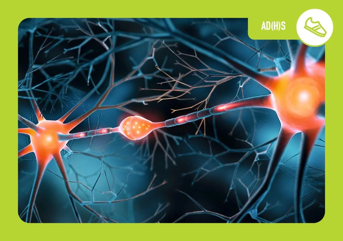 Bild: 4260694923825 | Neurodiversität in der Kita | Maria Zens | Bundle | 1 Box | Deutsch