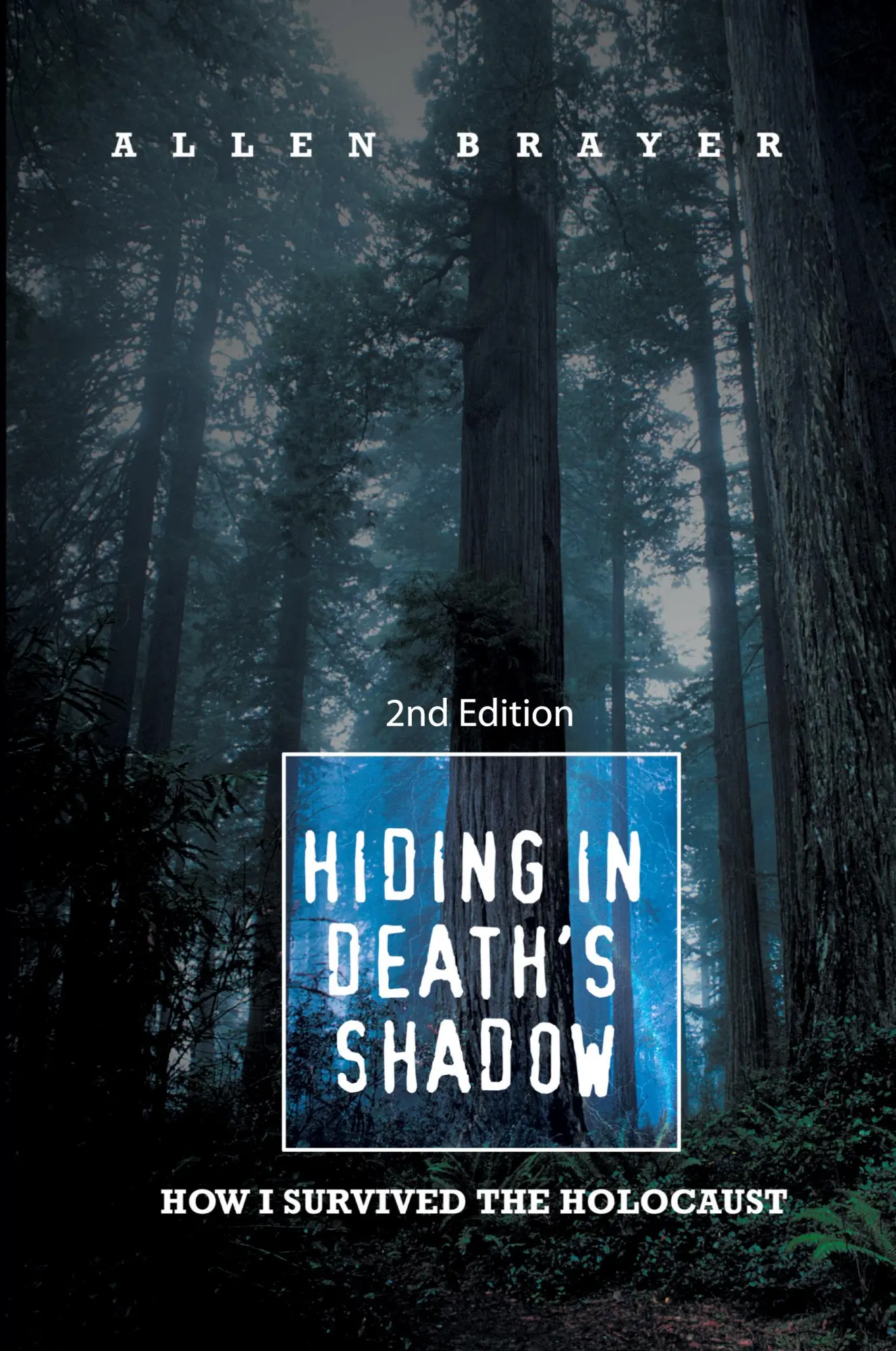 Cover: 9781450263825 | Hiding in Death's Shadow | Allen Brayer | Taschenbuch | Englisch