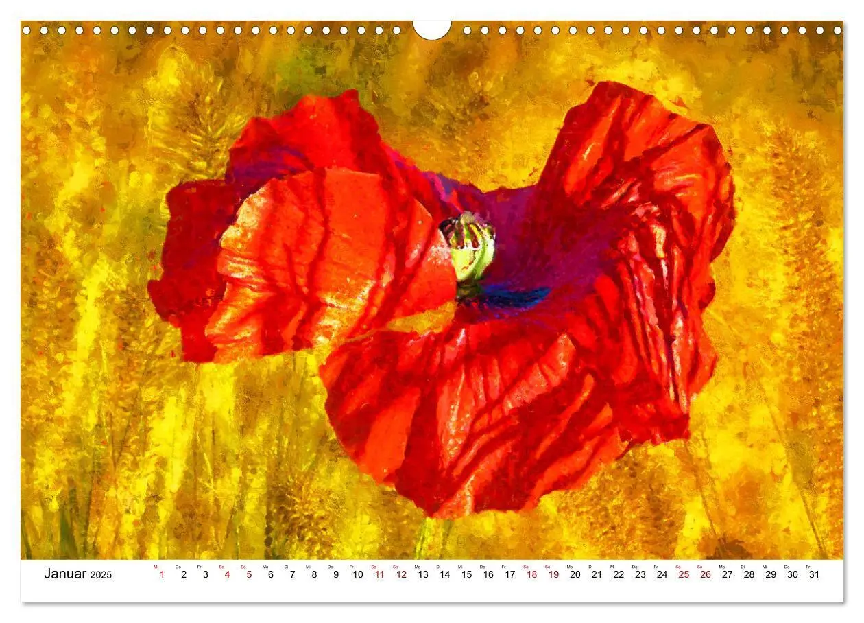 Bild: 9783383983825 | Bunte Mohnblumen - Impressionen der Mohnblüte in Acrylfarbe...