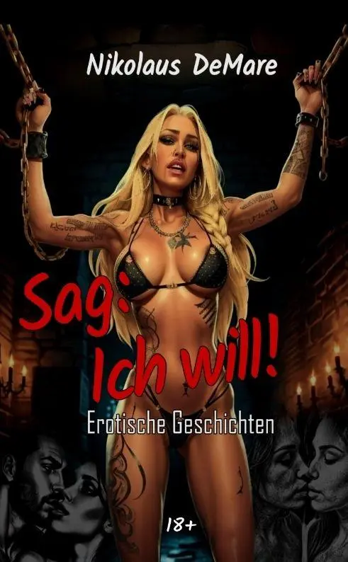 Cover: 9783384803825 | Sag: ich will! | Erotische Geschichten (18+) | Nikolaus DeMare | Buch