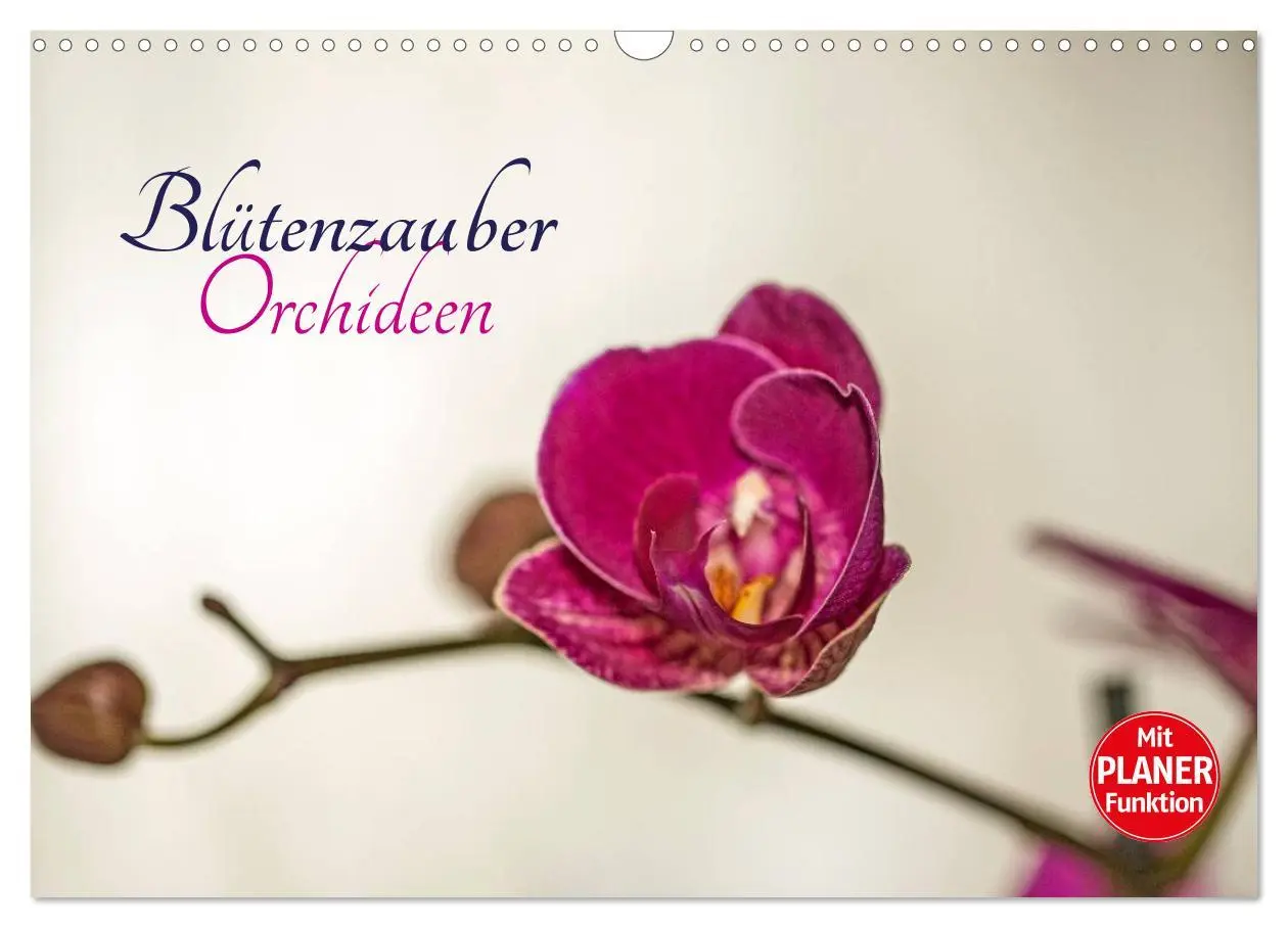 Cover: 9783516013825 | Blütenzauber Orchideen (Wandkalender 2026 DIN A3 quer), CALVENDO...